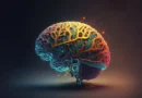 Creatine: Fueling Performance and Powering the Mind