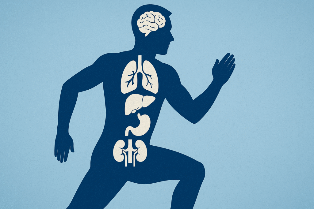 Blue runner silhouette overlayed with brain, lungs, liver, stomach, and kidney icons illustrating whole-body benefits of exercise.