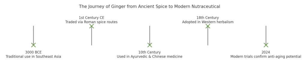 Timeline showing ginger’s evolution from ancient Southeast Asian use in 3000 BCE to modern clinical trials in 2024.