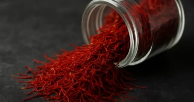 a glass jar on its side spilling out strand of crimson red saffron threads.